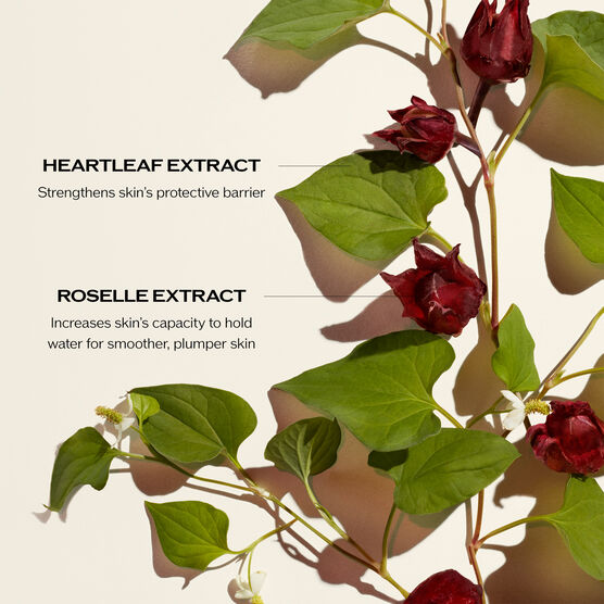 Kit Shiseido Radiance & Resilience Ritual Set